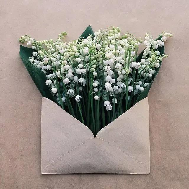 白色铃兰花的花语，铃兰的花语和寓意