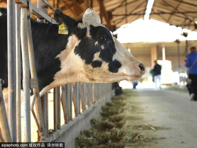 北京带孩子玩的地方推荐，北京小宝宝周末遛娃必备好去处（带娃去京郊这4个天然氧吧游山戏水~）