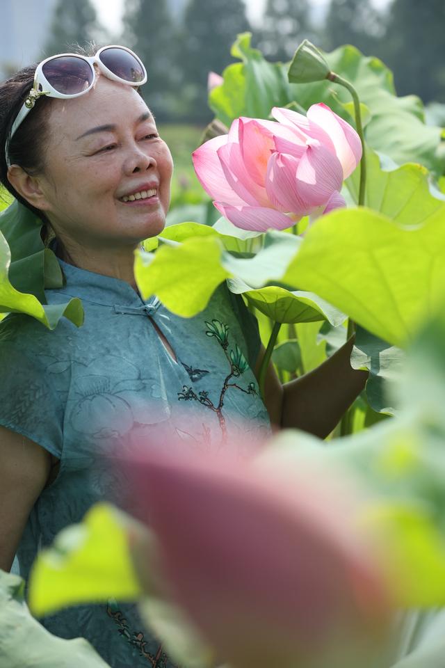 名家禅意水墨荷花，水墨淋漓写荷韵