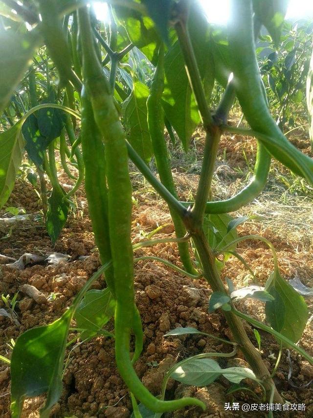 农家菜谱大全图片，好看的农家菜菜谱大全