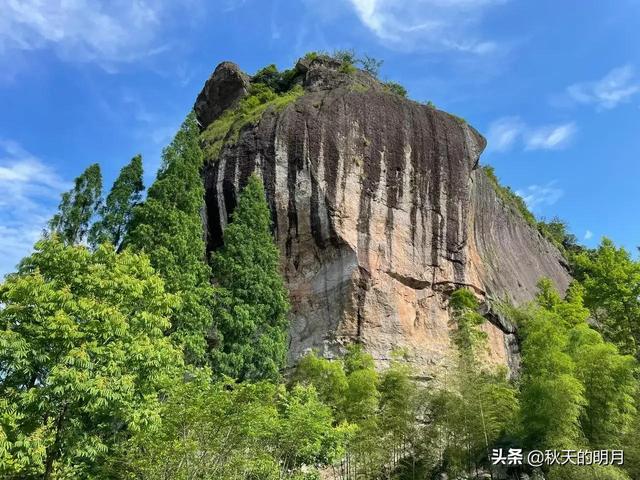 11个社会现象深度解析，的人看到真实的社会现象