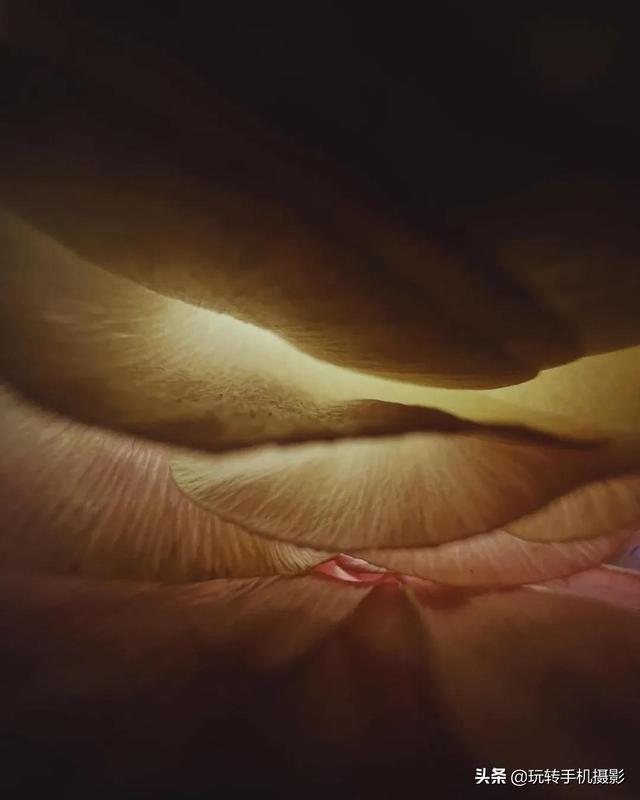 绿色星球有哪些，豆瓣评分9.8的绿色星球