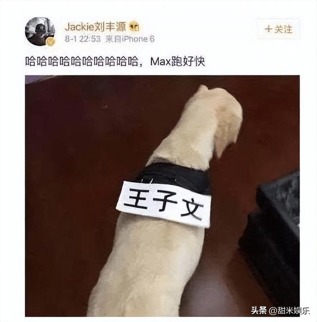 王朔与王子文私下关系，与贾乃亮传绯闻多年、未婚生子