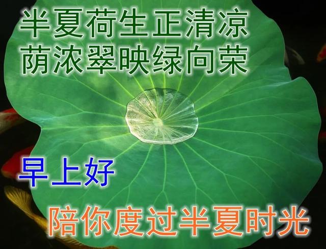肥胖纹图片早安(肥胖纹的前兆)