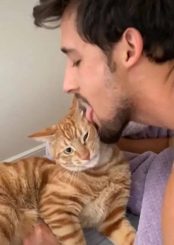 猫咪舔人说明什么，猫咪舔人有这些好处