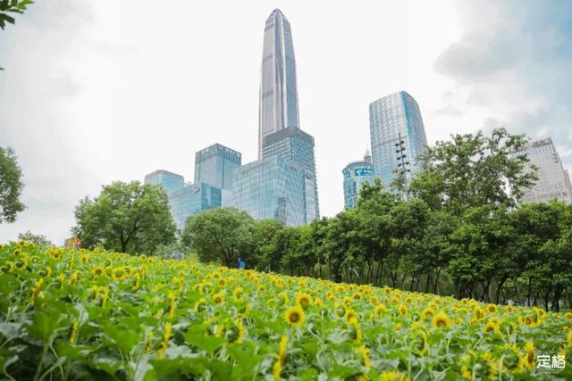 附近看花的地方，深圳最适合去赏花的地方（2023西安及周边赏樱花的地点大全）