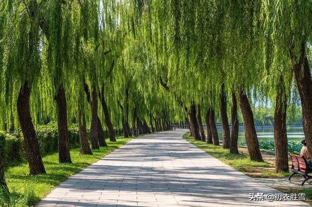 关于扬州瘦西湖的诗词，古诗词和瘦西湖二十四景更配哦