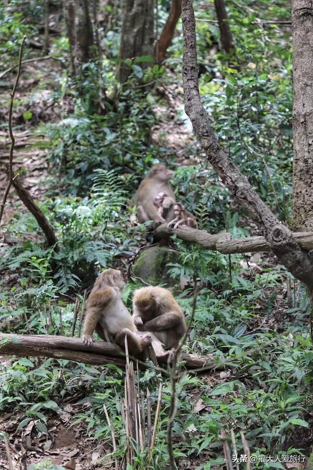 普洱到西双版纳，西双版纳普洱旅游攻略