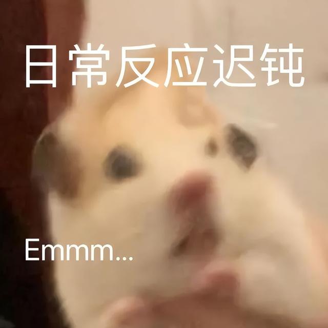 小仓鼠动态迷你表情包，变形脸仓鼠可爱老鼠
