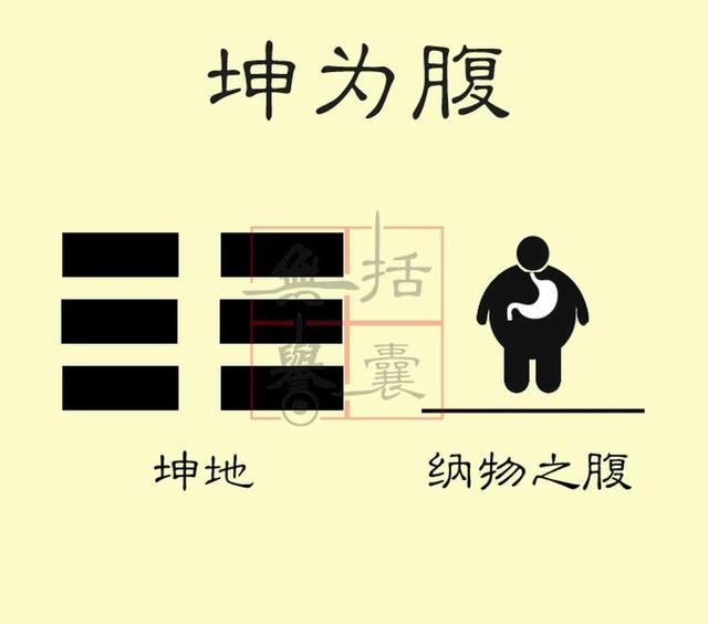 八卦巽上乾下，八卦与人体乾首
