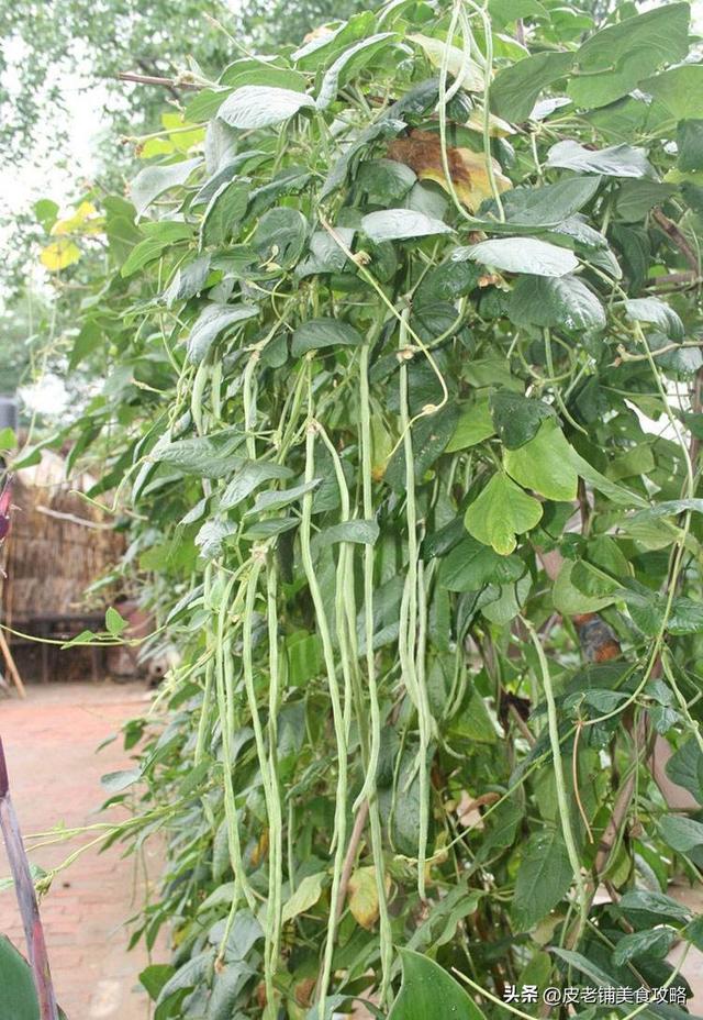 农家菜谱大全图片，好看的农家菜菜谱大全