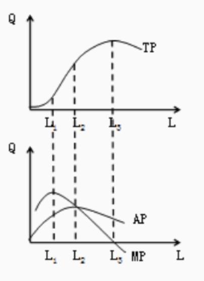 中级经济师生产函数和生产曲线，中级经济师《经济基础》-3.2生产函数和生产曲线