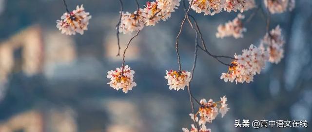 唯美古诗词句子，52句意境唯美古诗词（30句唯美诗词：总有一句诗）