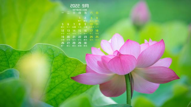 2022年5月电脑桌面日历壁纸，2022年5月高清日历电脑桌面壁纸（五月日历壁纸）