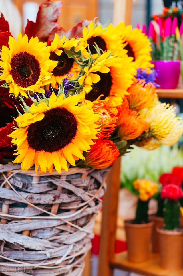 简单的花语文案，关于花的文案“做个浪漫人”