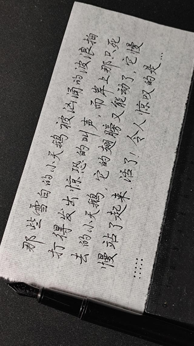 关于黑颈天鹅的故事，感情最专一的黑颈天鹅
