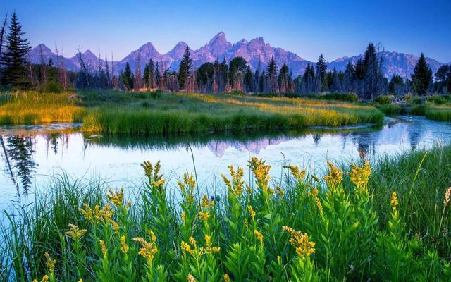 弗洛伊德人格发展五个阶段，弗洛伊德精神分析理论5个时期