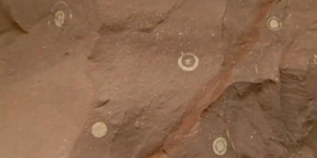 蛇洞，自然密码蛇洞之谜