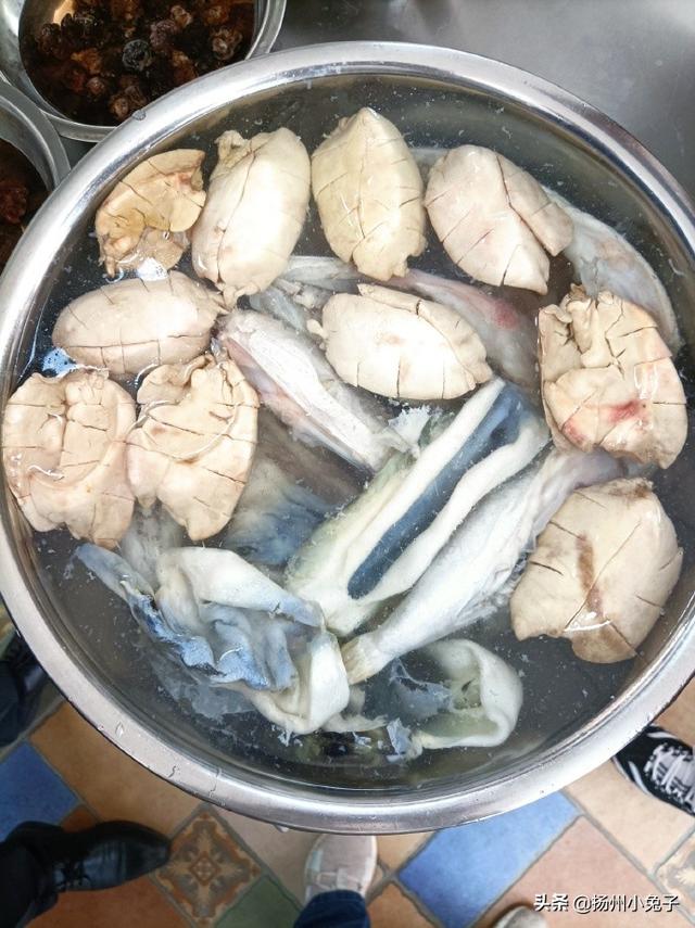 也能吃到鲜美的河豚鱼，即食河豚鱼
