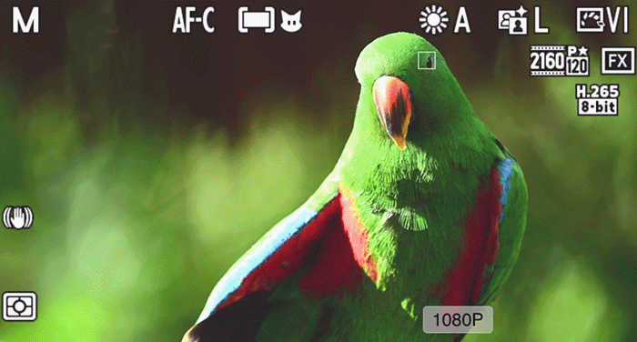 尼康微单相机推荐z9，入手旗舰全画幅相机