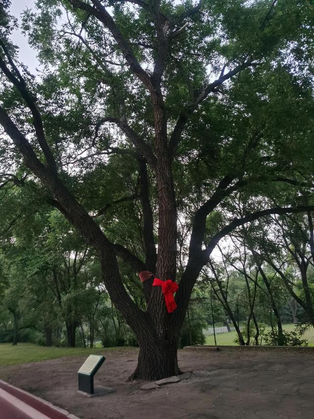 哈尔滨太阳岛详细地址在哪里，哈尔滨太阳岛