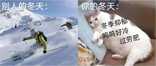 累而肥胖(过累肥胖)