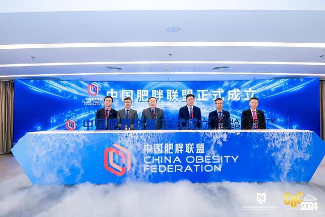 肥胖者联盟(肥胖者图片分解图)