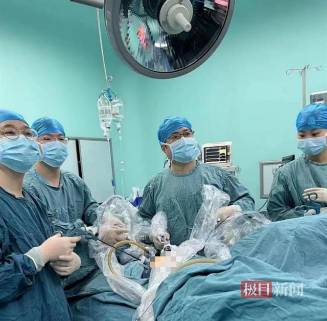 公婆肥胖(婆婆嫌媳妇胖)