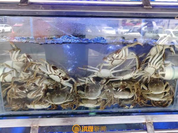 高血压糖尿病能吃螃蟹吗(高血压糖尿病能喝纯牛奶吗)