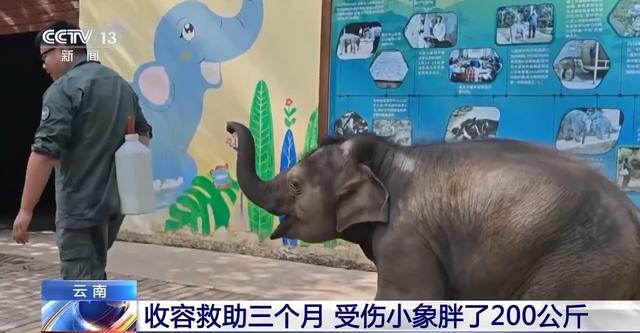 肥胖二百斤(肥胖200斤的危害)