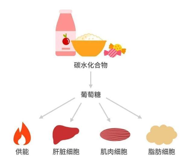 吃太多碳水会糖尿病吗(吃多了碳水)