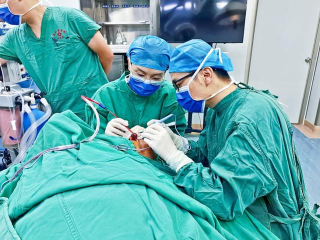 手把手教你去腋臭(如何有效去腋臭)