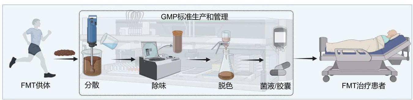 肥胖女孩变废为宝(胖女孩终于减肥成功)