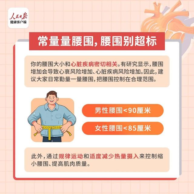 肥胖e心男(肥胖的男性一般寿命是多少)