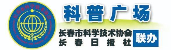 要肥胖(要肥胖吃什么)