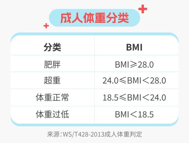 女子太肥胖(女子肥胖的主要原因)