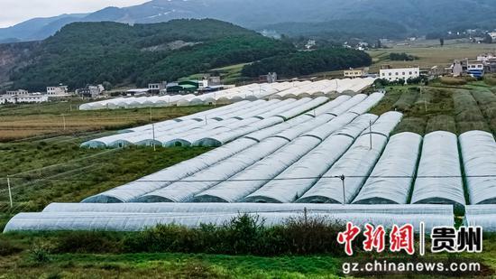 妊娠期糖尿病贝贝南瓜(妊娠期糖尿病可以好吗)