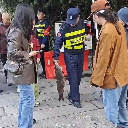 锦鲤肥胖病(锦鲤突然胖了是怎么回事)