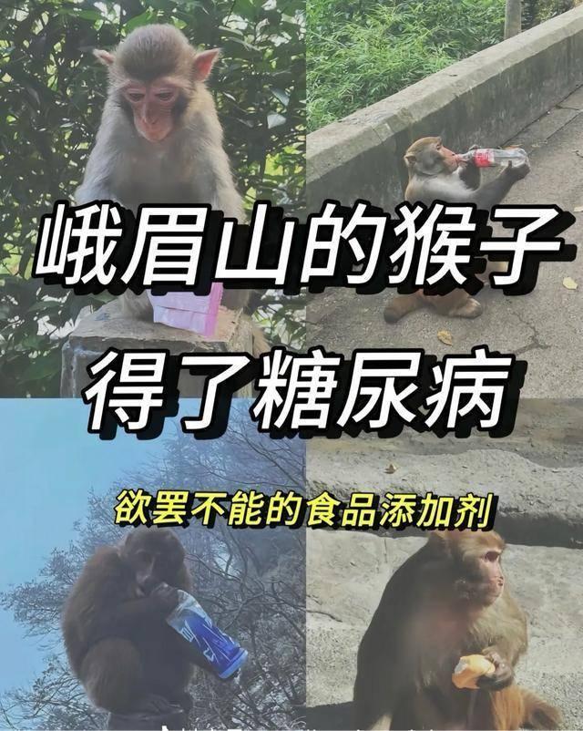 昆虫糖尿病(糖尿病人能不能消灭虫子)