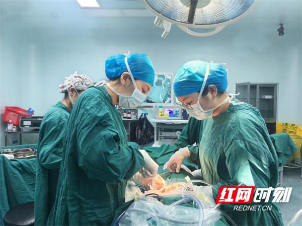 肥胖女人肚子视频(解别肥胖女人肚子视频)
