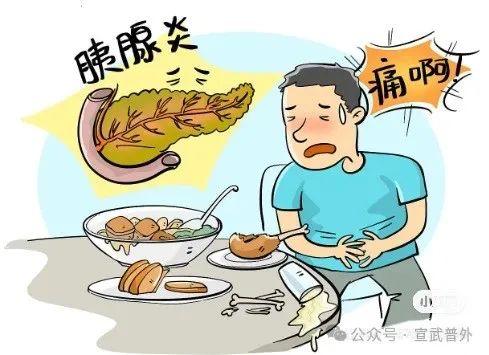 胰腺与肥胖(胰腺肥胖是什么原因)