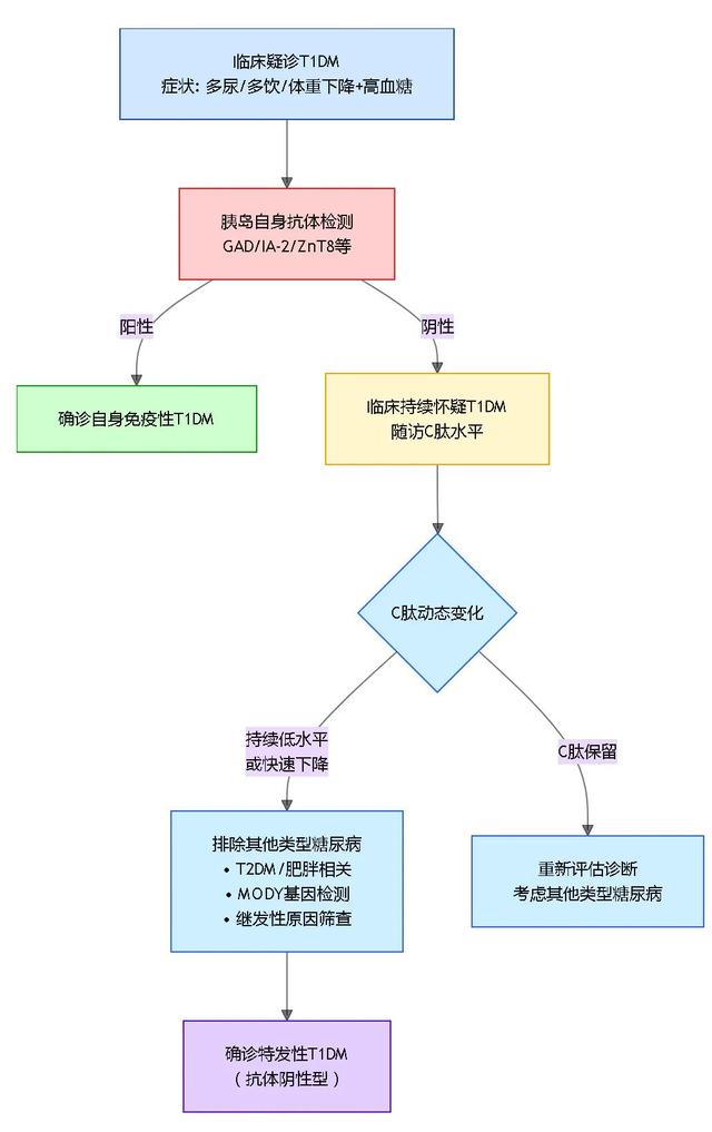 1型糖尿病胰岛(1型糖尿病胰岛功能完全丧失了吗)