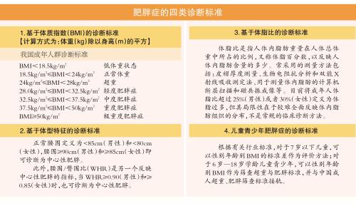 肥胖简介(肥胖的定义和标准百度百科)