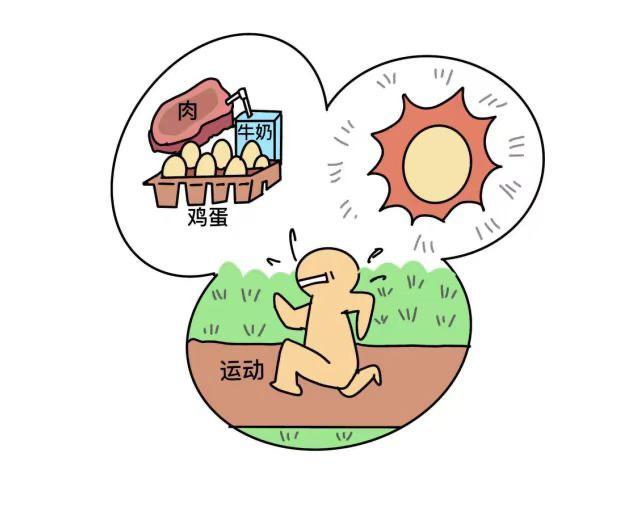 隐藏性肥胖的危害(隐藏性肥胖的营养改善建议)