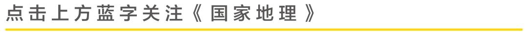 妊娠糖尿病推荐黑巧(妊娠糖尿病可选用的治疗药物)