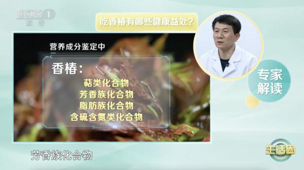 嫩芽肥胖(吃嫩芽长什么样)