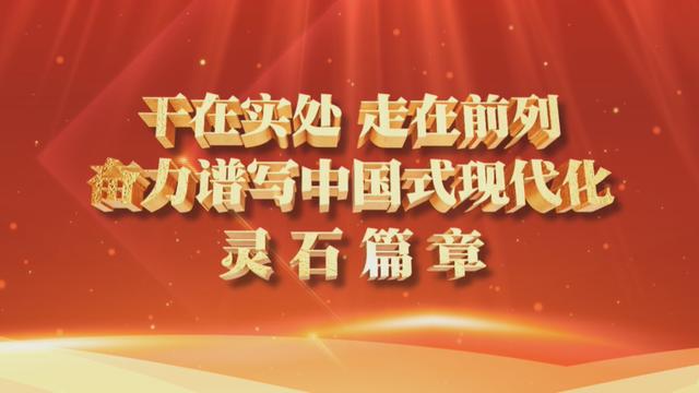灵石糖尿病群