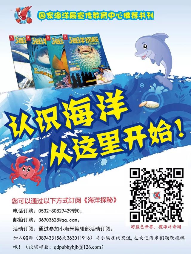 体长约45厘米的深海鱼，这只深海鱼不止长得丑