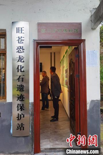 馬門溪龍完整化石,這座“博物館”就在成都地鐵 馬門溪龍完整化石,這座“博物館”就在成都地鐵