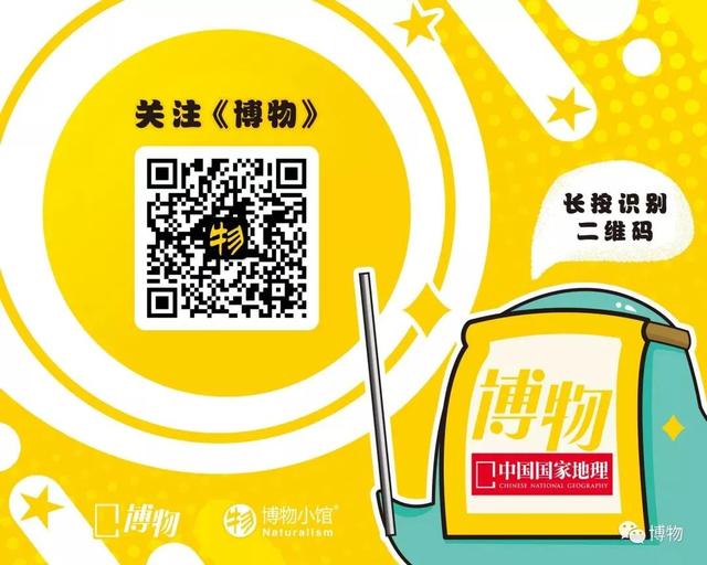 荐号 | 有执着追求的人喜欢看哪些公众号？